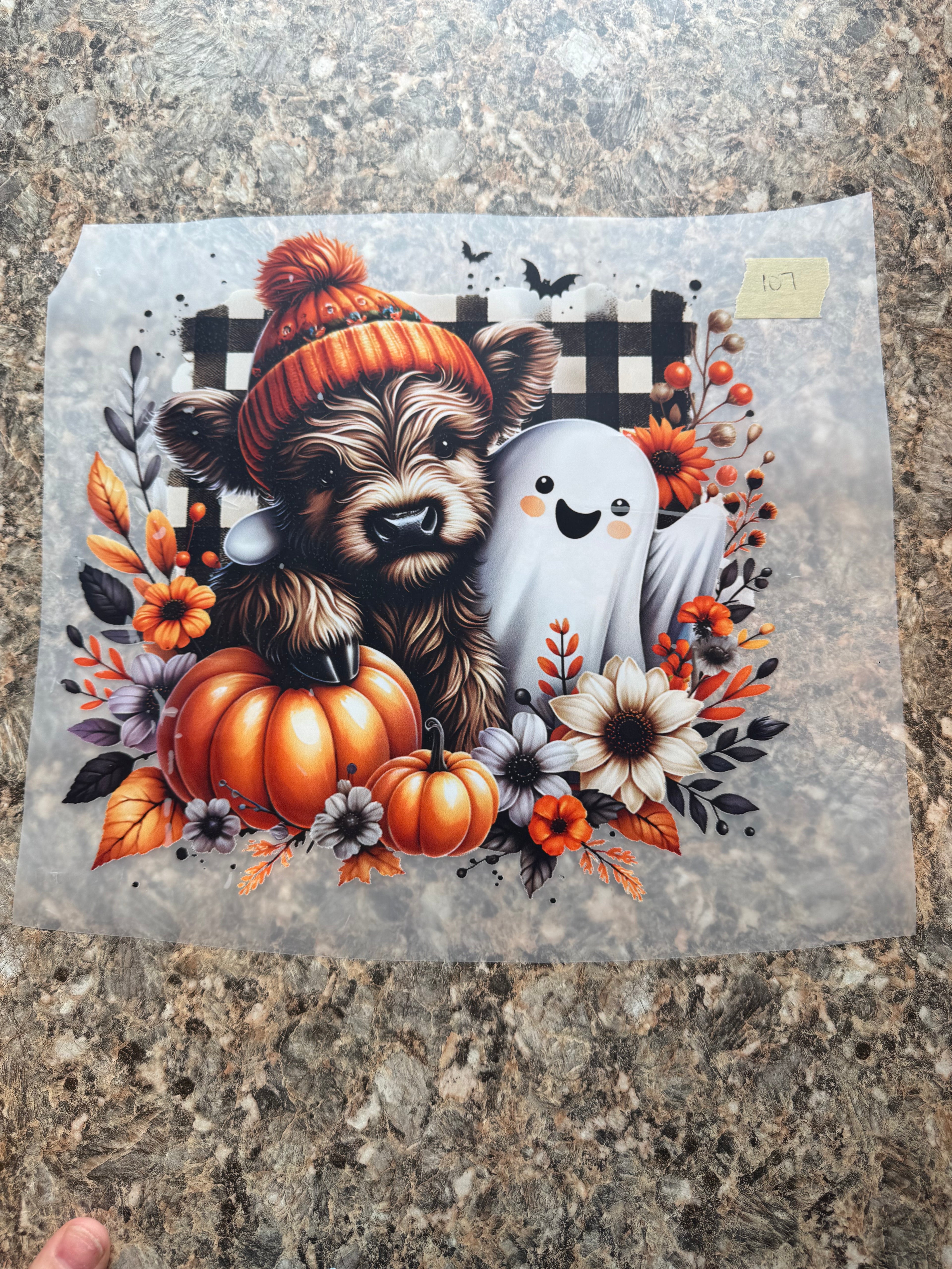 Fall Highland Cow #107